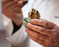 Une belle recette de Gérard Taurin de son périple La route du sorbet