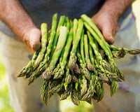 Ce légume de saison est le meilleur anti-inflammatoire naturel du printemps