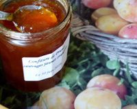 Confiture de prunes sauvages jaunes orangées