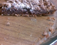 Tarte spéculoos au chocolat et crumble