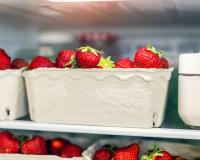 Faut-il conserver ses fraises au frigo ?