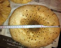 Ce grand champignon que l'on rencontre au bord des allées dans les forêts a un goût incomparable de noisette ou de pain frais, servi comme je vous le décris, vous allez…