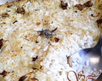 Gratin de riz au four aux champignons