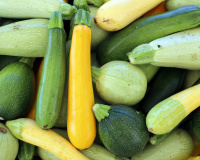 On a trouvé la recette parfaite pour l’apéro… et pour garder vos courgettes toute l’année !