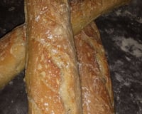 Baguette Tradition
