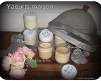 Yaourts "maison" speculoos et confiture de lait