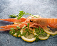 Langoustines vapeur