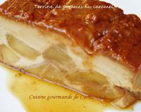 Aujourd'hui je vous propose une délicieuse terrine fruitée qui a la texture d'un flan, une recette que j'ai trouvée sur le magazine Femme Actuelle.…