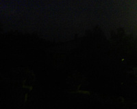 Beignets de courgettes au thon