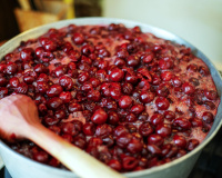 Cerises amarena en 7 jours