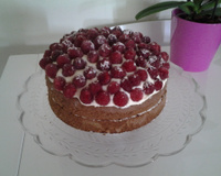 Fondant au chocolat noir et aux framboises