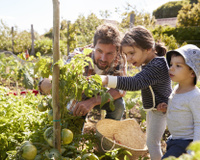 3 documentaires sur l’alimentation durable, à voir absolument