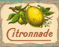 Citronnade économique