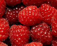 Blondie chocolat blanc-framboises