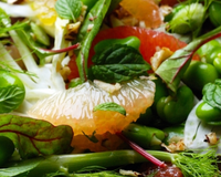 Une salade fraîche et même plus que fraîche !