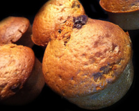 Muffins vanille forts en chocolat !