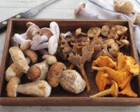 Champignons : les conseils essentiels d’un mycologue pour les préparer et les cuisiner !