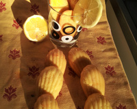 Madeleines inratables