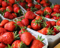 Oubliez la corbeille à fruit et le réfrigérateur : c’est comme ça qu’il faut stocker les fraises pour bien les conserver !