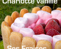Je sais que certains et certaines attendaient la recette de ma charlotte d'anniversaire, celle sur laquelle j'ai soufflé les bougies de mes 25 ans, je ne pensais pas…