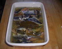 Sardines en conserve