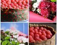 Cheesecake citron-framboise