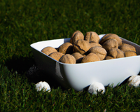 Noix de pétoncle en prairie