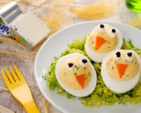 Les poussins Mimosas Kiri© dans leur nid