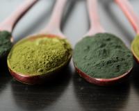 Tout savoir sur la spiruline