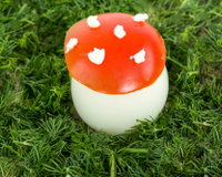 Œuf dur comme un champignon