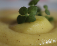 Petite Purée Magique