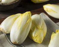 Podcast : Les endives