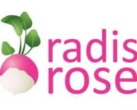 Radis rose