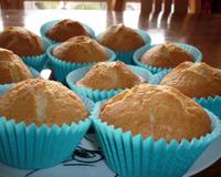 Muffin succulent