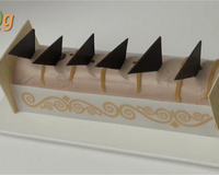 Bûche chocolat-passion