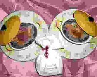 Gratin de pommes de terre Vittelote à la crème