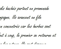 Une histoire de steaks hachés