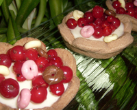 Panacotta en tartelette