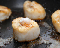 Conseils Saint Jacques : Cuisson, accompagnement, ouverture... Tout pour réussir vos coquilles Saint-Jacques à Noël