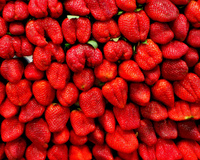 Peut-on vraiment congeler des fraises sans les abîmer ?