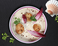 Saint-Jacques et espuma d'endives à la Charentaise