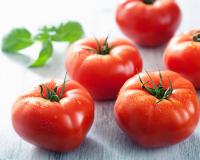 Ce petit détail qu’il faut regarder pour vérifier la fraîcheur d’une tomate avant de l’acheter