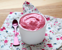 Yaourt glacé minute au Cuisine Companion