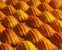 Madeleines dans les règles de l'art