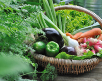 Vous épluchez toujours ce légume ? C’est une erreur d’après une diététicienne, vous passez à côté de nombreux bienfaits !