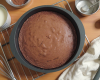 Gâteau au yaourt et au cacao en poudre