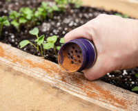 Voici l’ingrédient basique qu’on a tous chez soi pour venir à bout des fourmis dans la cuisine !