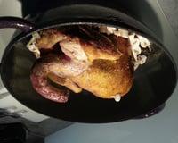 Pintade à la Normande