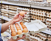 Pénurie d’œufs dans les supermarchés : pourquoi la situation s’aggrave début 2026