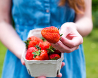 “Le dessert parfait à partager cet été !” : si vous aimez les fraises, cette recette gourmande de Laurent Mariotte va vous enchanter !